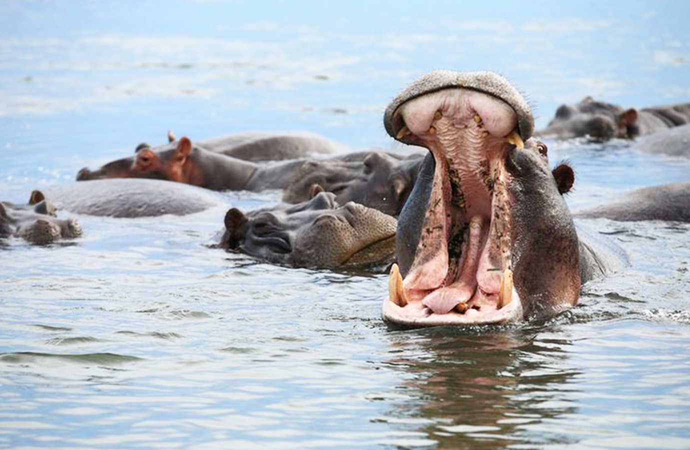 Lake Naivasha